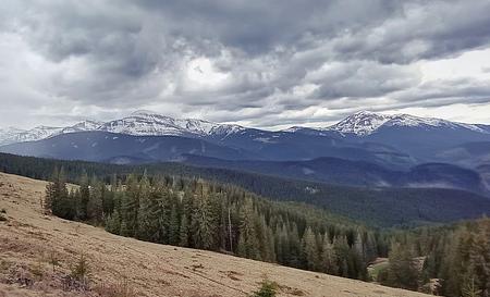 Гора Кукул та полонина Кукул — Фото 5