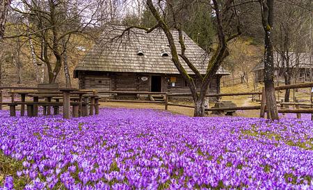 «Старе Село» у Колочаві - музей архітектури і побуту  — Фото 1