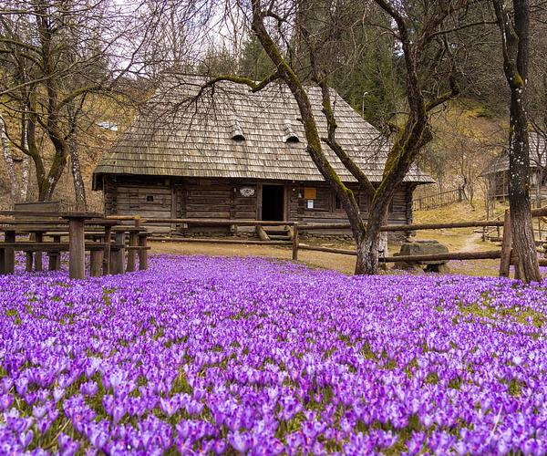 «Старе Село» у Колочаві - музей архітектури і побуту 