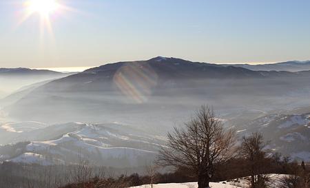 Бук дорогою на Дарвайку — Фото 3