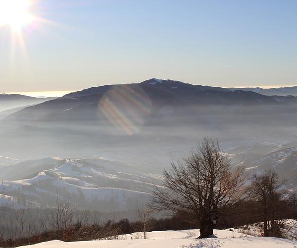 Бук дорогою на Дарвайку