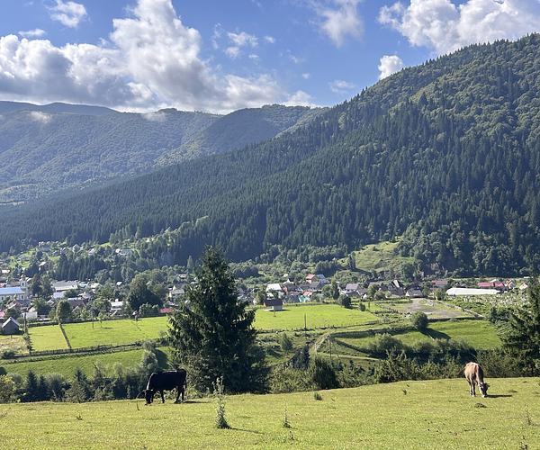 Оглядовий майданчик "Яблуневий сад у Колочаві"