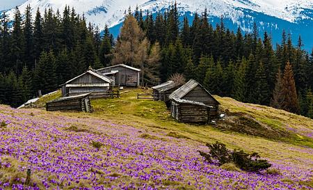 Гора Кукул та полонина Кукул — Фото 2