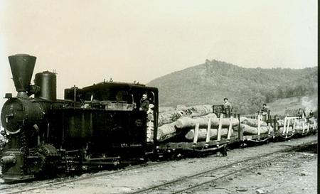 Музей «Вузькоколійка» у Колочаві — Фото 7