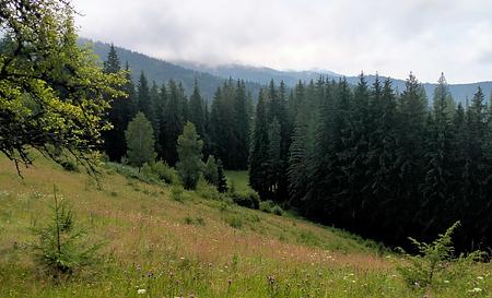 Гора Томас — Фото 1