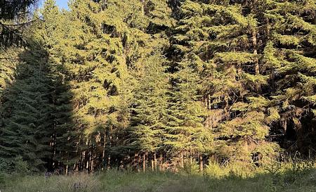 Гора Томас — Фото 2