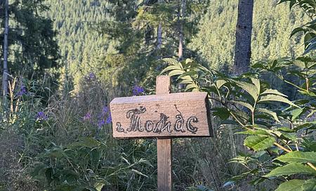 Гора Томас — Фото 4