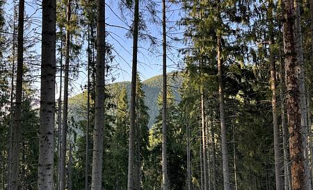 Гора Томас — Фото 5