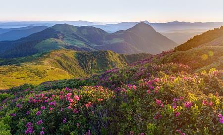 Карпати — Фото 2