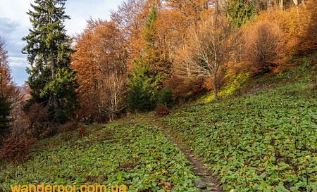 Хребет Пішконя — Фото 3