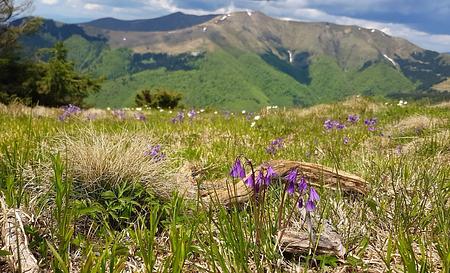 Хребет Пішконя — Фото 11