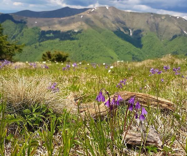 Хребет Пішконя