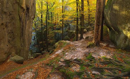 Карпати — Фото 6