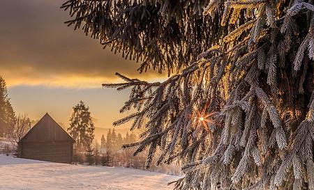 Карпати — Фото 5