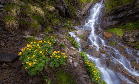 Дземброня — Фото 6