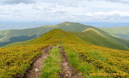 Пилипець — Фото 7