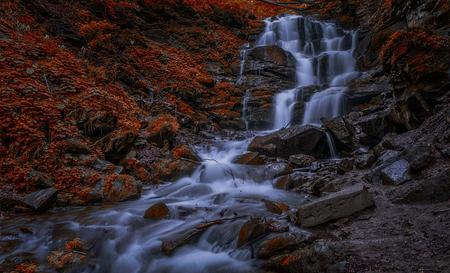 Пилипець — Фото 8