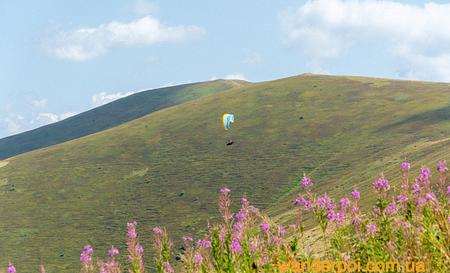 Пилипець — Фото 2