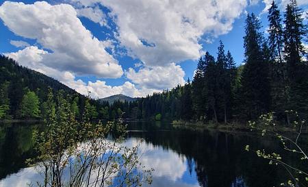 Озеро Синевир — Фото 7