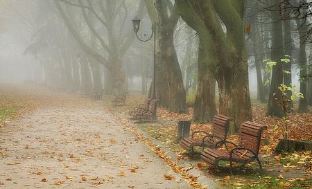 Львів — Фото 3