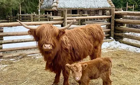 Буковель — Фото 10