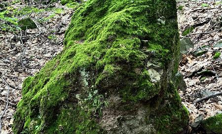 Липовецьке озеро — Фото 3