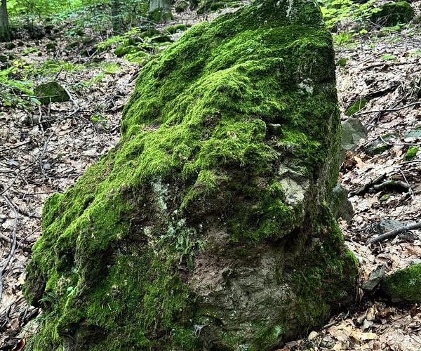 Липовецьке озеро