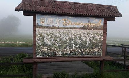 Долина нарцисів — Фото 2