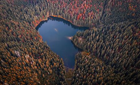 Озеро Синевир — Фото 2