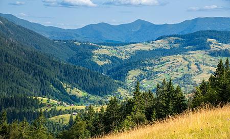 Озеро Синевир — Фото 12