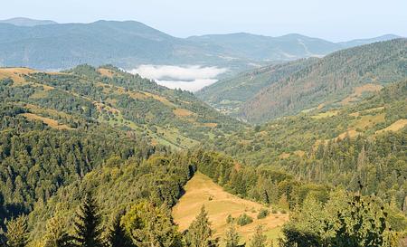 Озеро Синевир — Фото 14