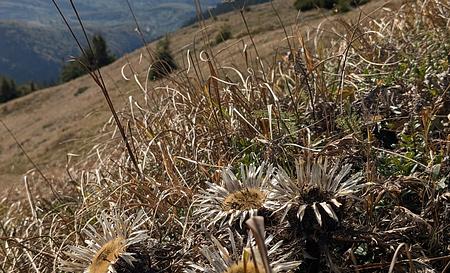 Садиба під Стримбою — Фото 5