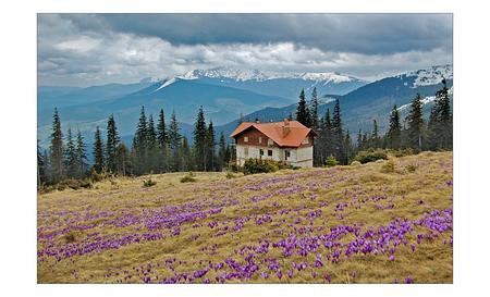 Гірськолижний курорт Драгобрат — Фото 11